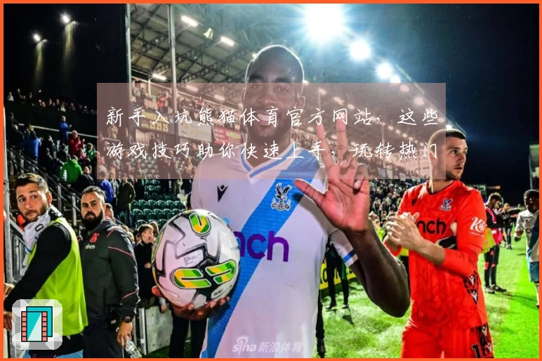 新手入坑熊猫体育官方网站,这些游戏技巧助你快速上手,玩转热门赛事!