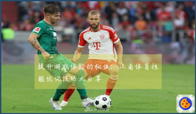 提升游戏体验的秘诀：江南体育性能优化技巧大分享