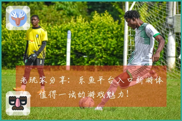老玩家分享：乐鱼平台入口新游体验，值得一试的游戏魅力！