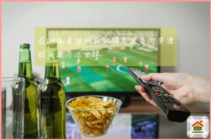 在ng体育官网获取稀有装备与资源的高效方法分享